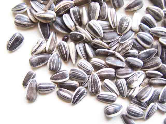 pipas