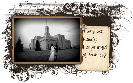 The Luke Family: Happenings of our Life!