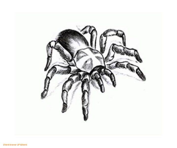 Spider tribal tattoo Design 4 Spider tribal tattoo Design 4