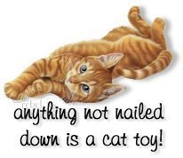 [cats-kittens-1020.jpg]