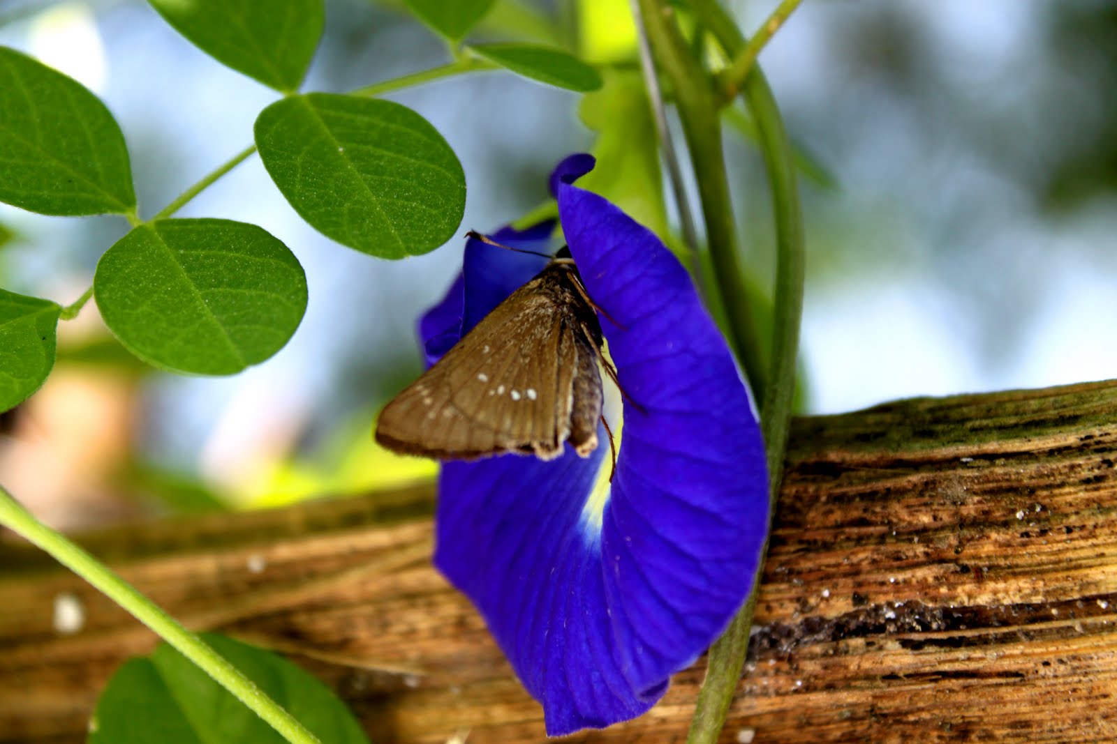 My World – My Perception: August 2010