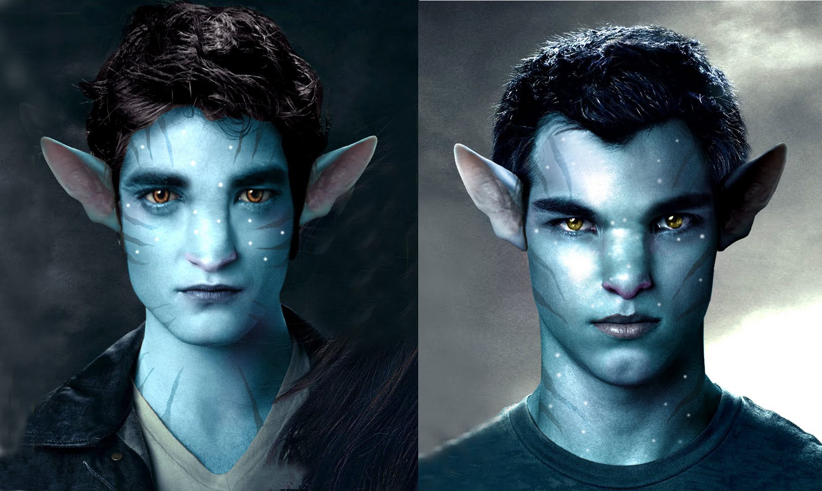 Weird Twilight Merchandise