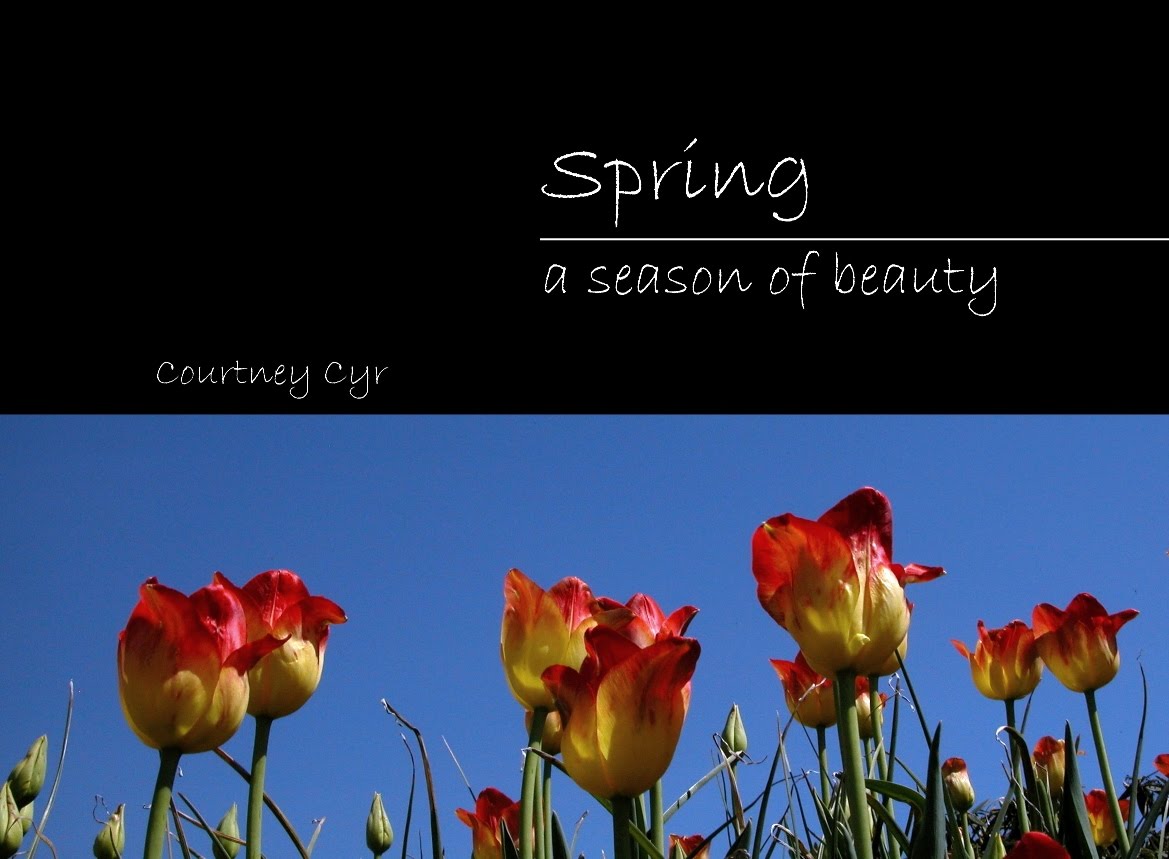 [BlogPics+SpringBookCover.jpg]