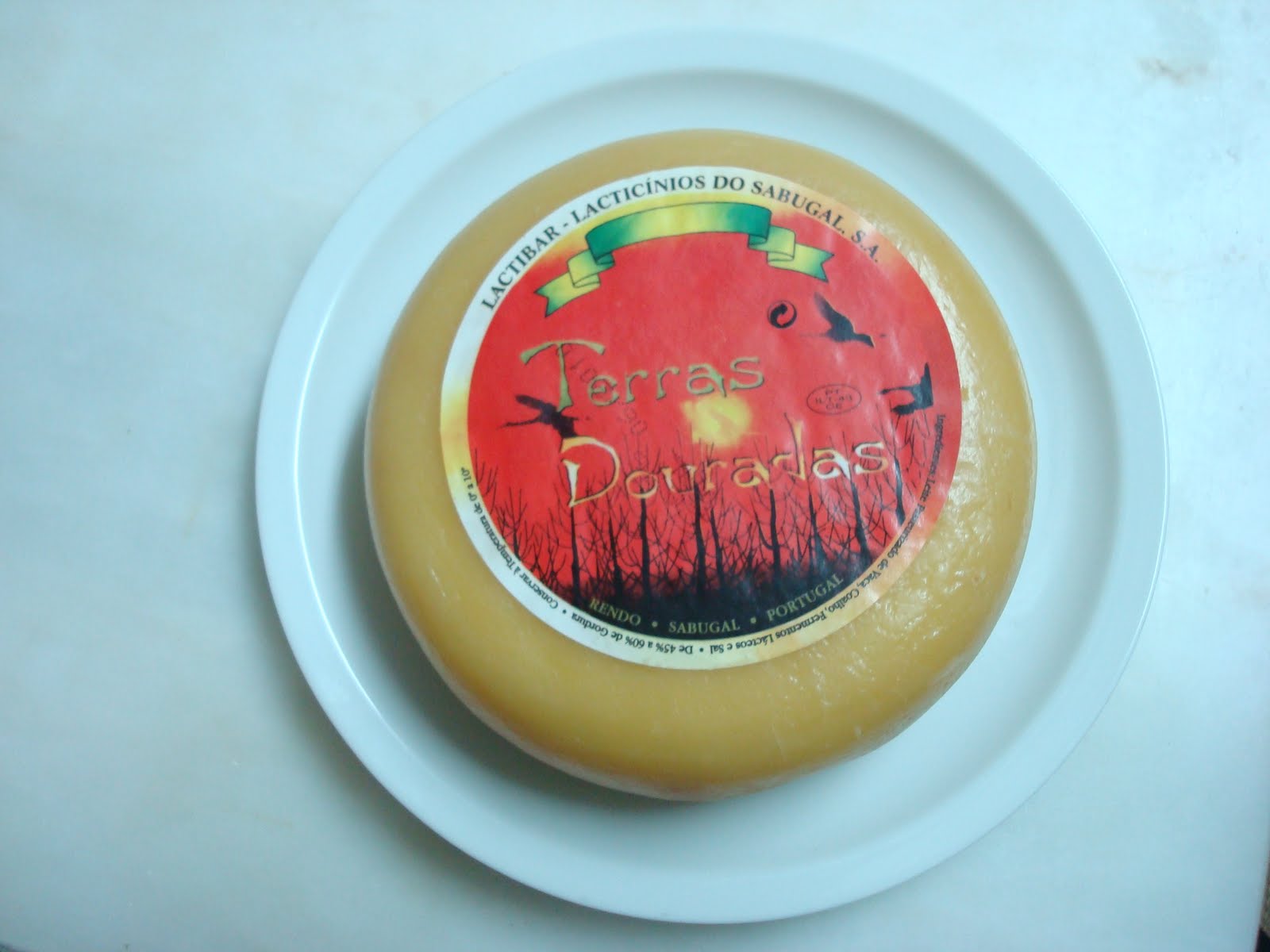 [DSC07213.JPG]
