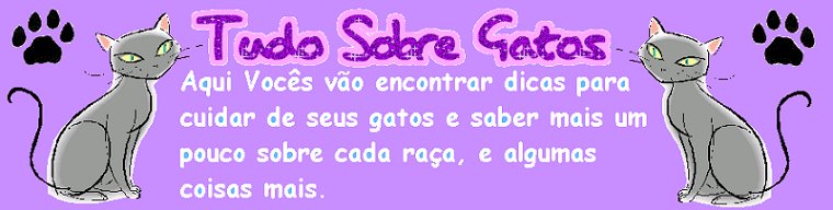 Tudo sobre gatos