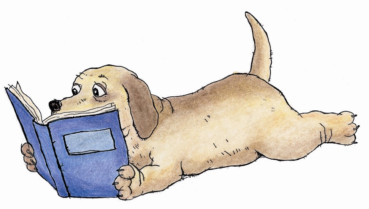 dog.JPG