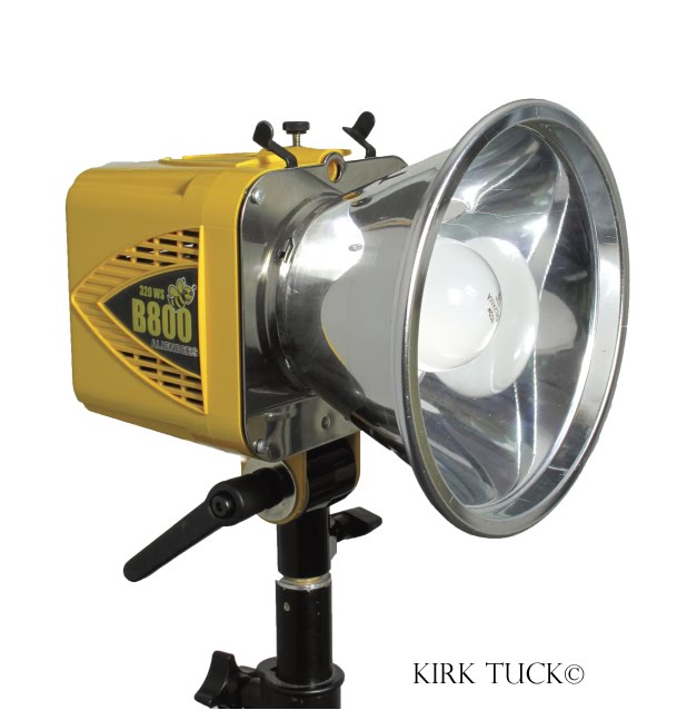 The Portrait Photographer Metal Reflectors