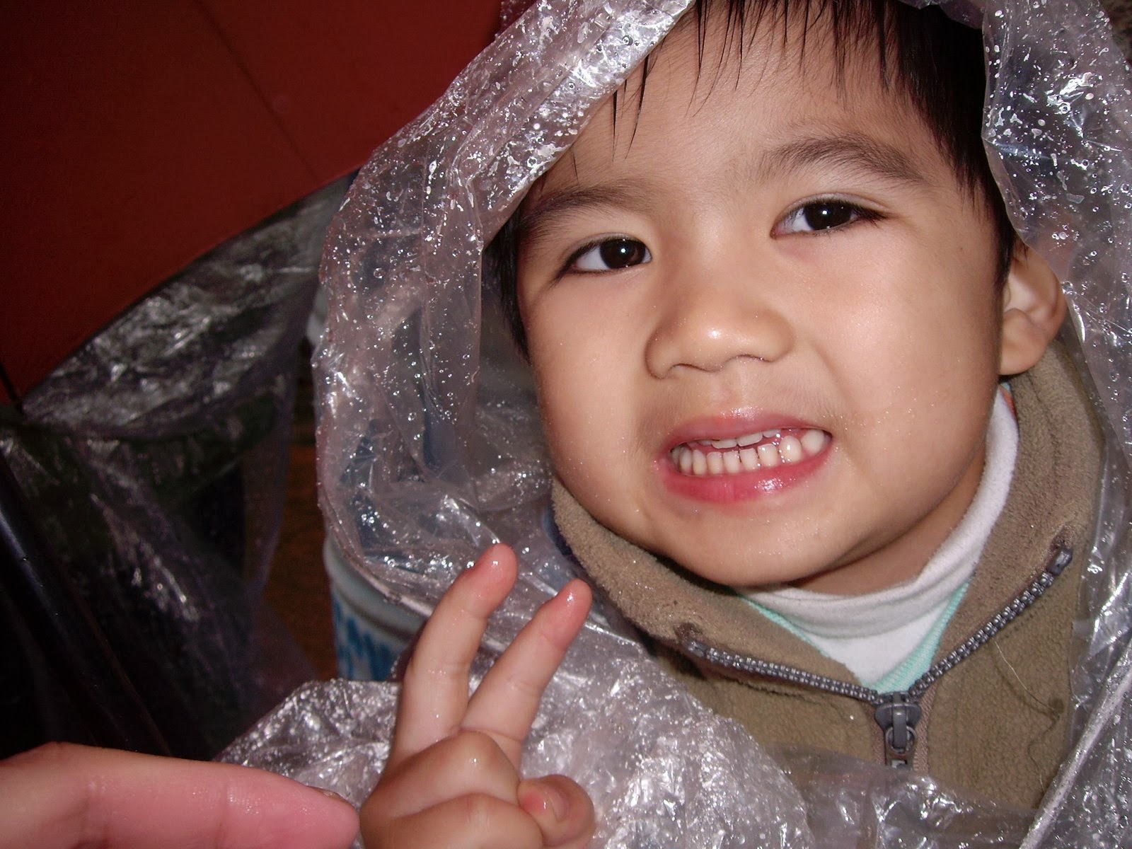 [IMGP0072.JPG]