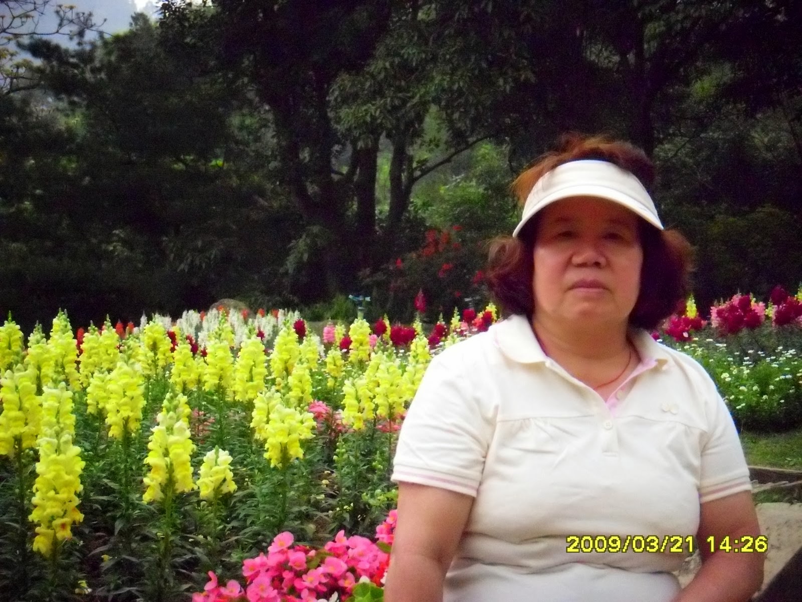 [SDC10181.JPG]