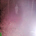 Penampakan Pocong Di Hutan Kalimantan Penampakan Pocong Di Hutan Kalimantan