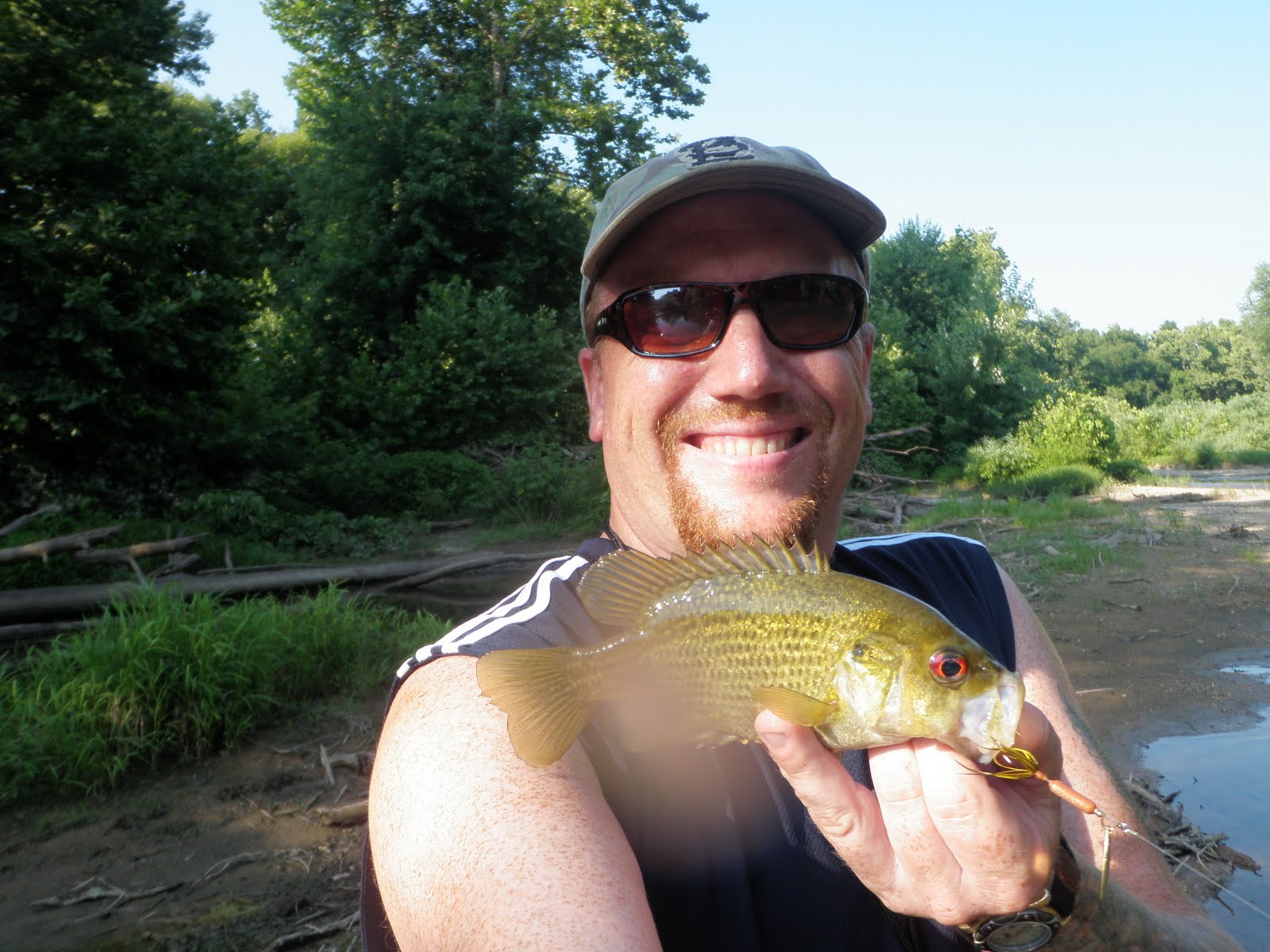 Fish Missouri Osage Fork, Gasconade River, Laclede County, MO. Nice