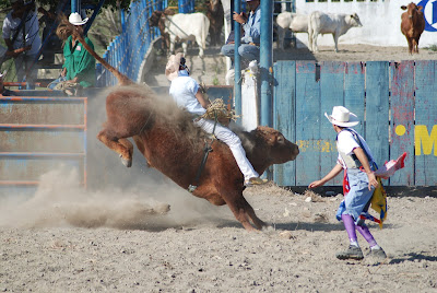 jaripeos