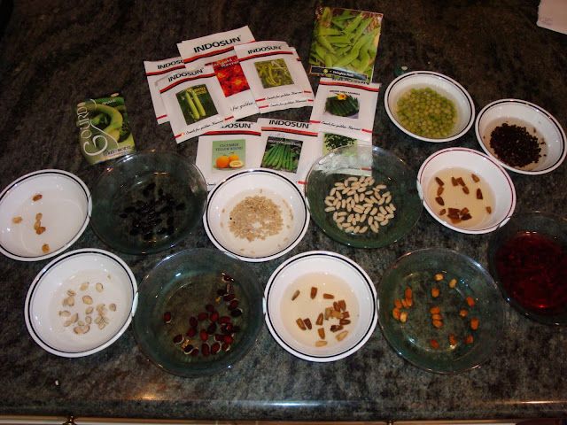 Entertaining From an Ethnic Indian Kitchen: Kitchen garden