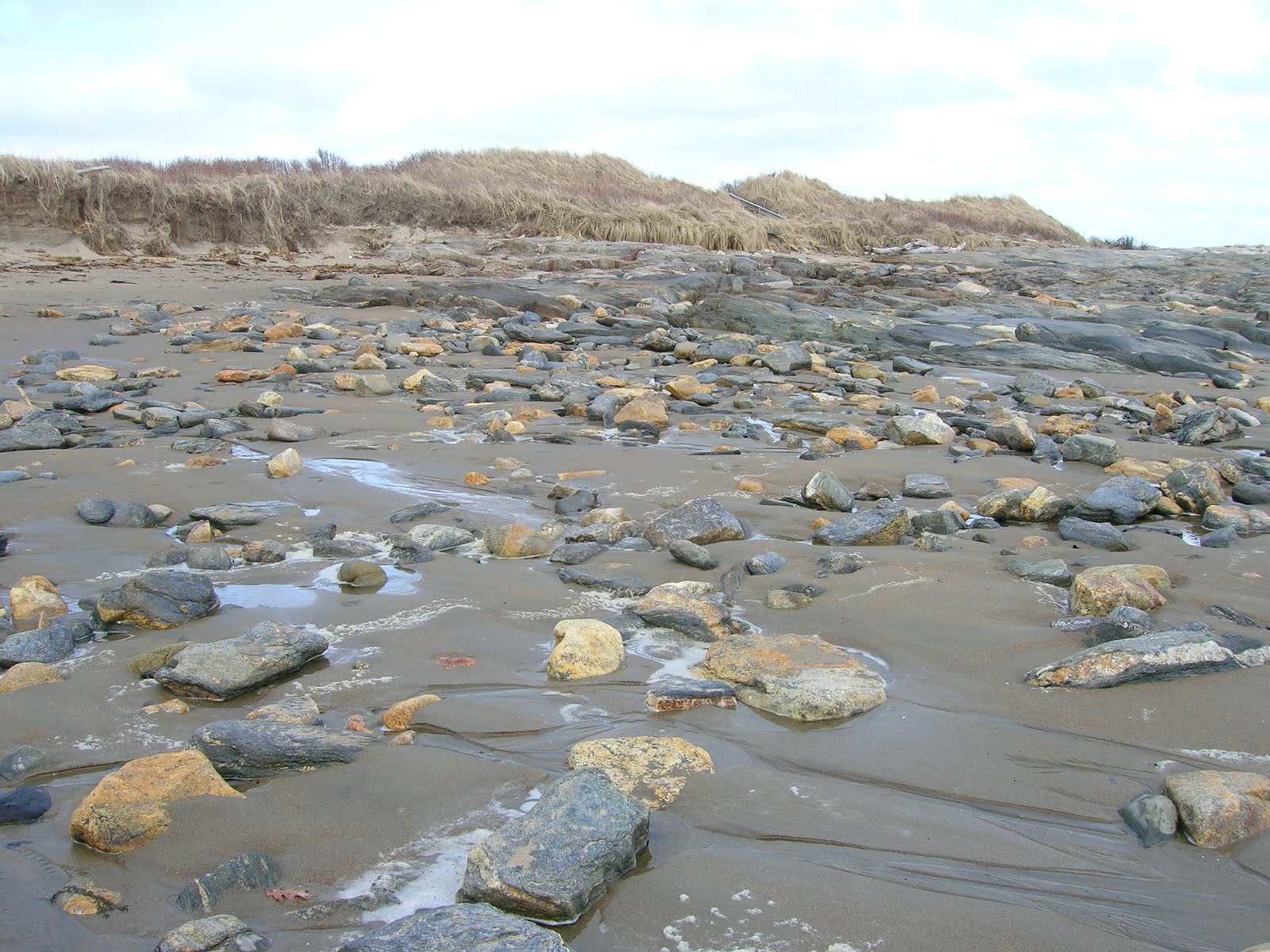 White Cedar Inn Today Reid State Park, Maine