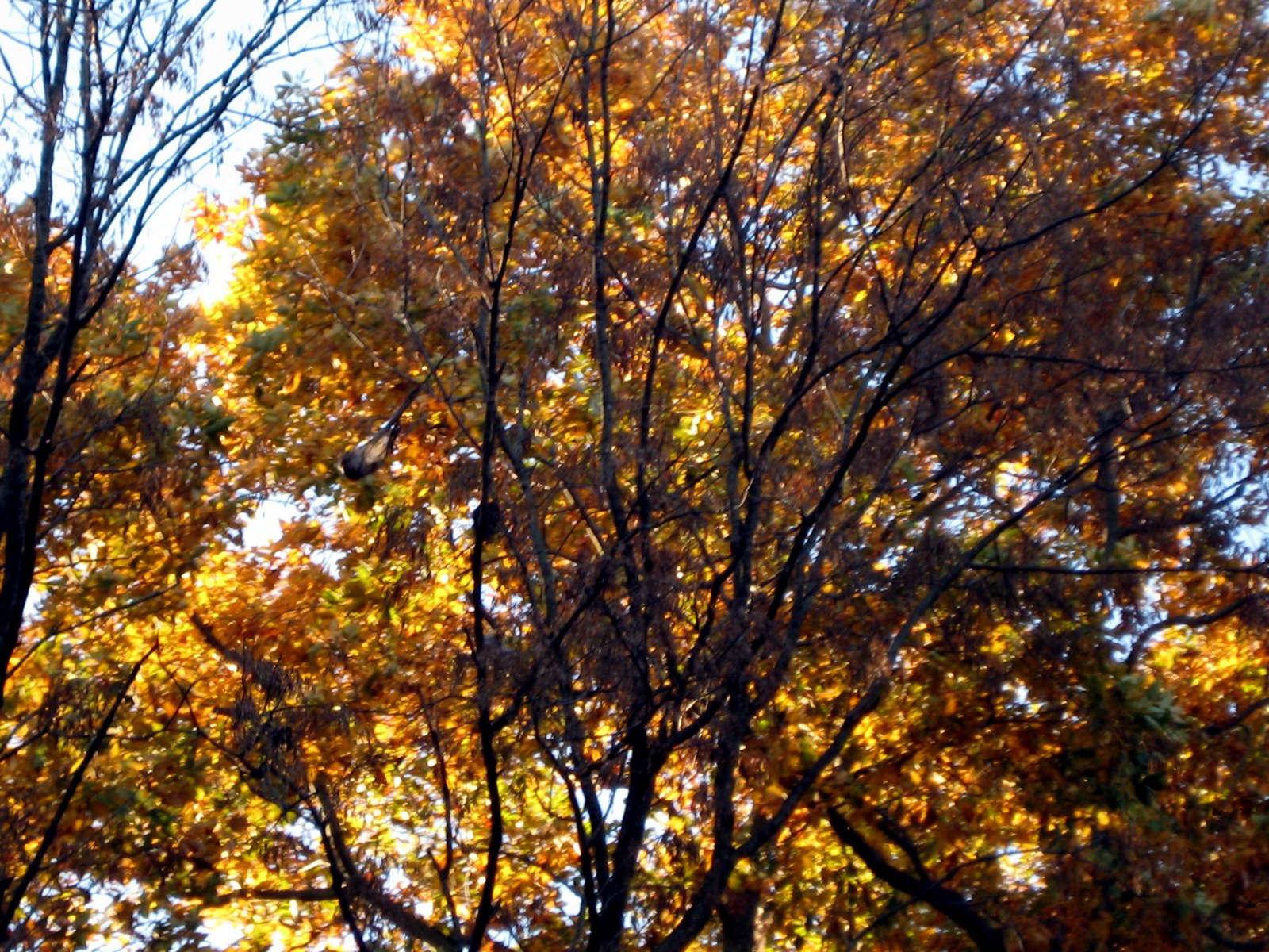 [IMG_8183.JPG]
