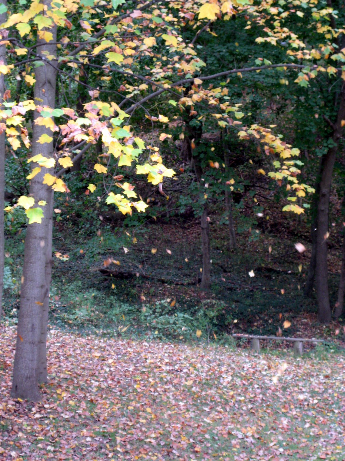 [IMG_8135.JPG]