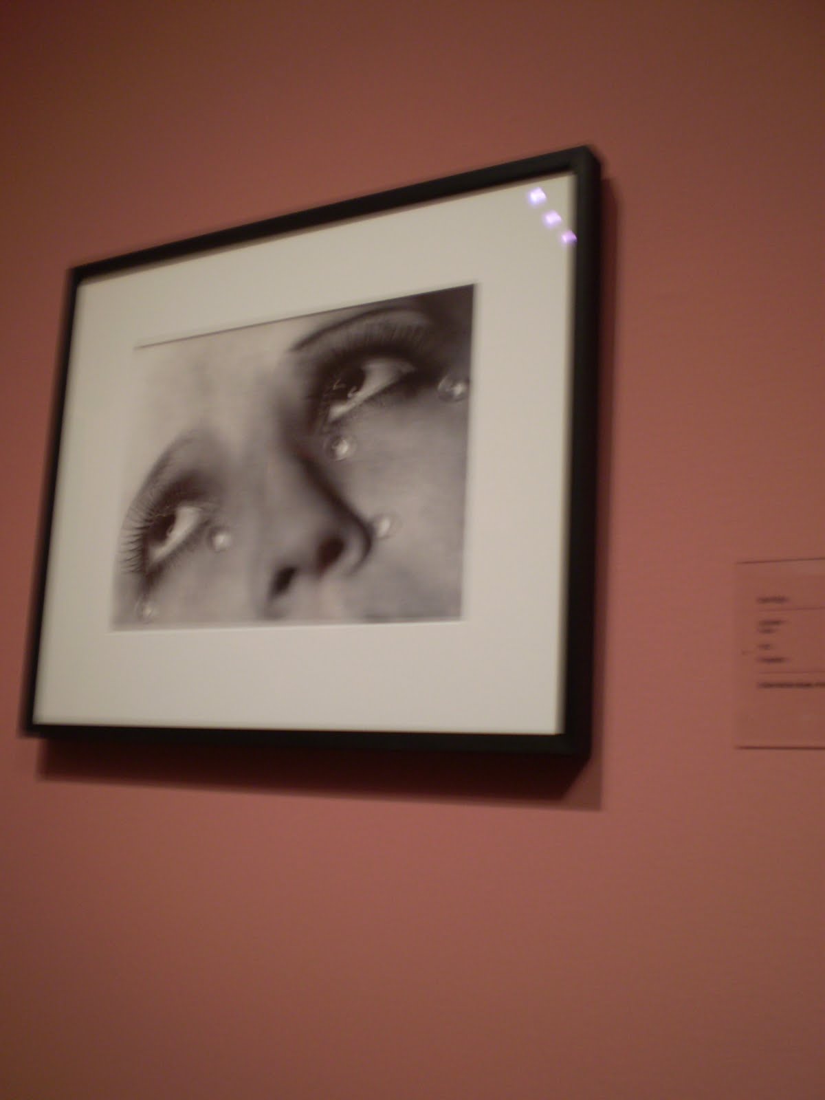 [P9030008.JPG]