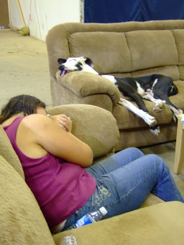 [hundsover.jpg]
