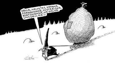 [tomte.jpg]