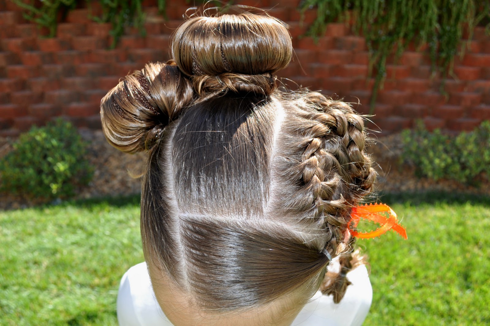 Cat Hairstyles Halloween - Viewing Gallery