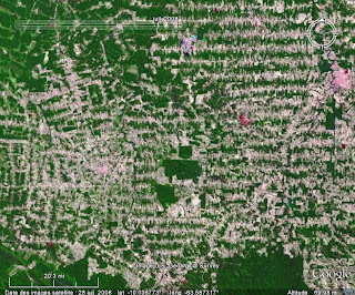La déforestation de la forêt amazonienne