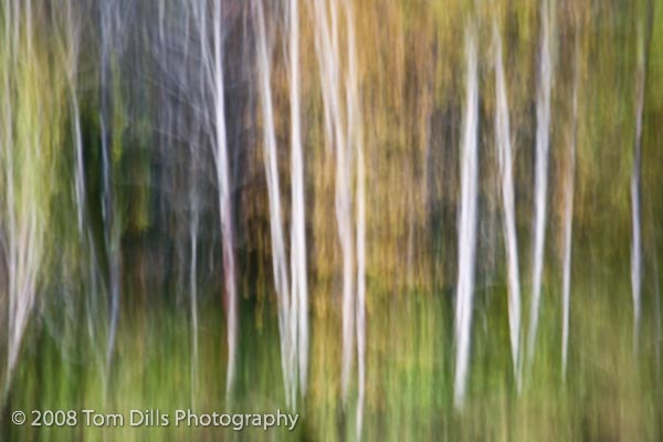 [_MG_4994.jpg]