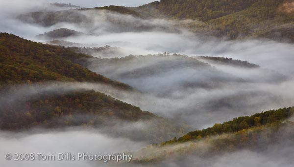 [_MG_5978.jpg]