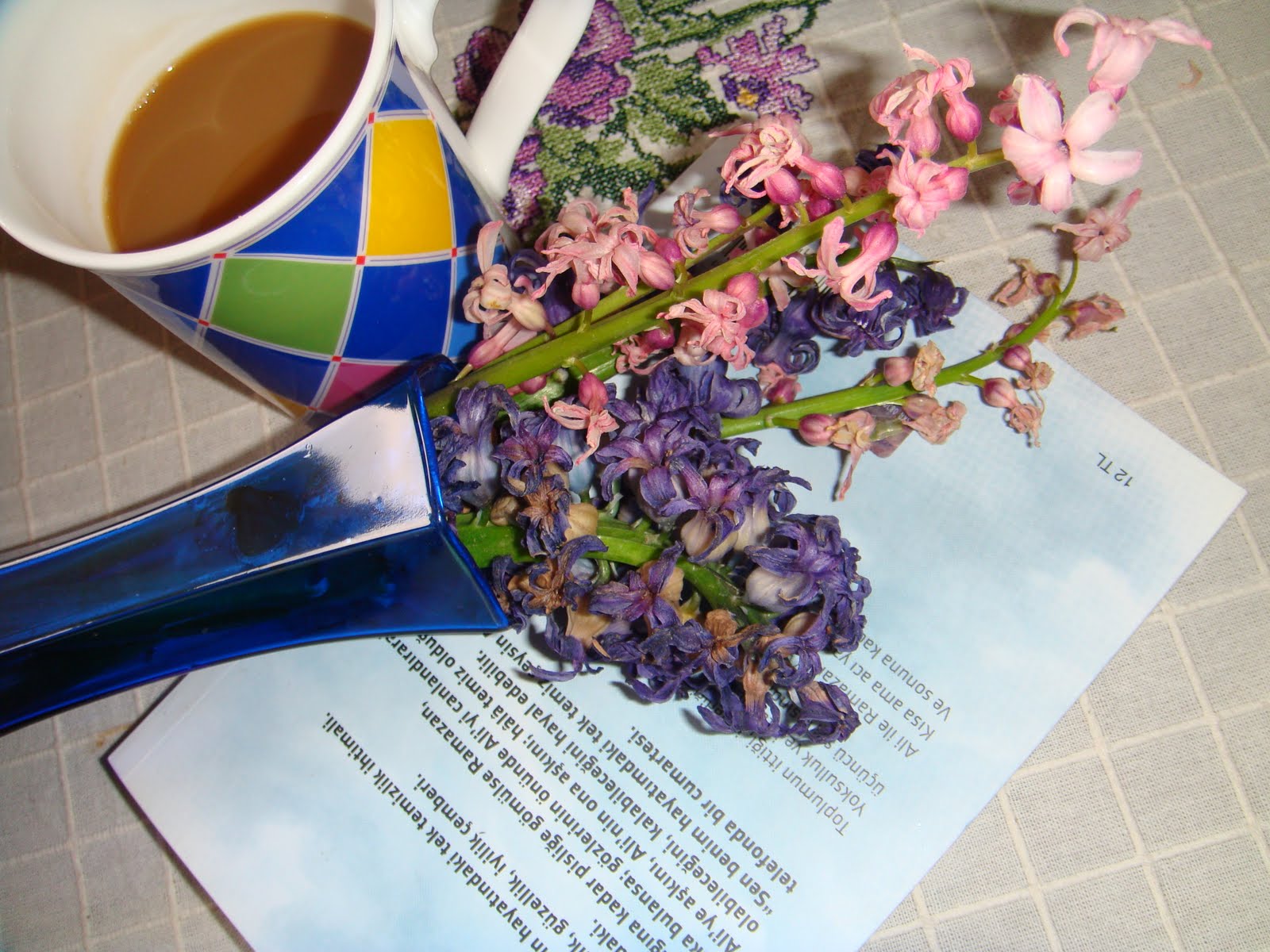 lavantalimon Mart 2010