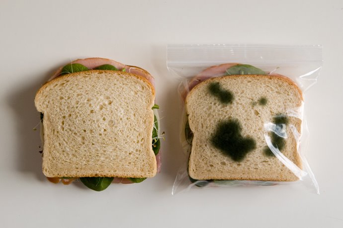 [lunch_bag_5.jpg]