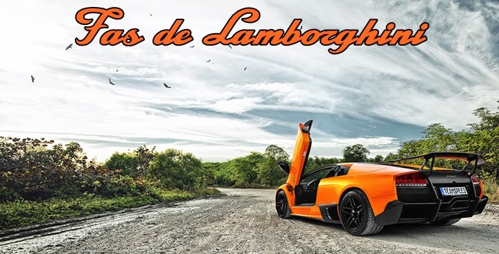 Fãs de Lamborghini