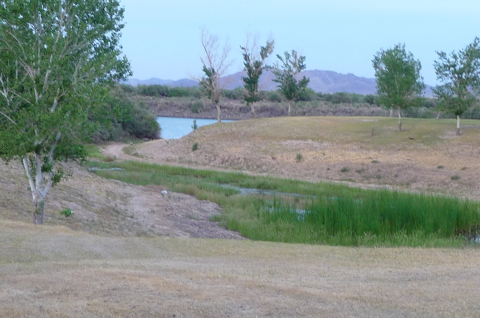 Beyond Jelm Mountain MAYFLOWER COUNTY PARK BLYTH CALIFORNIA