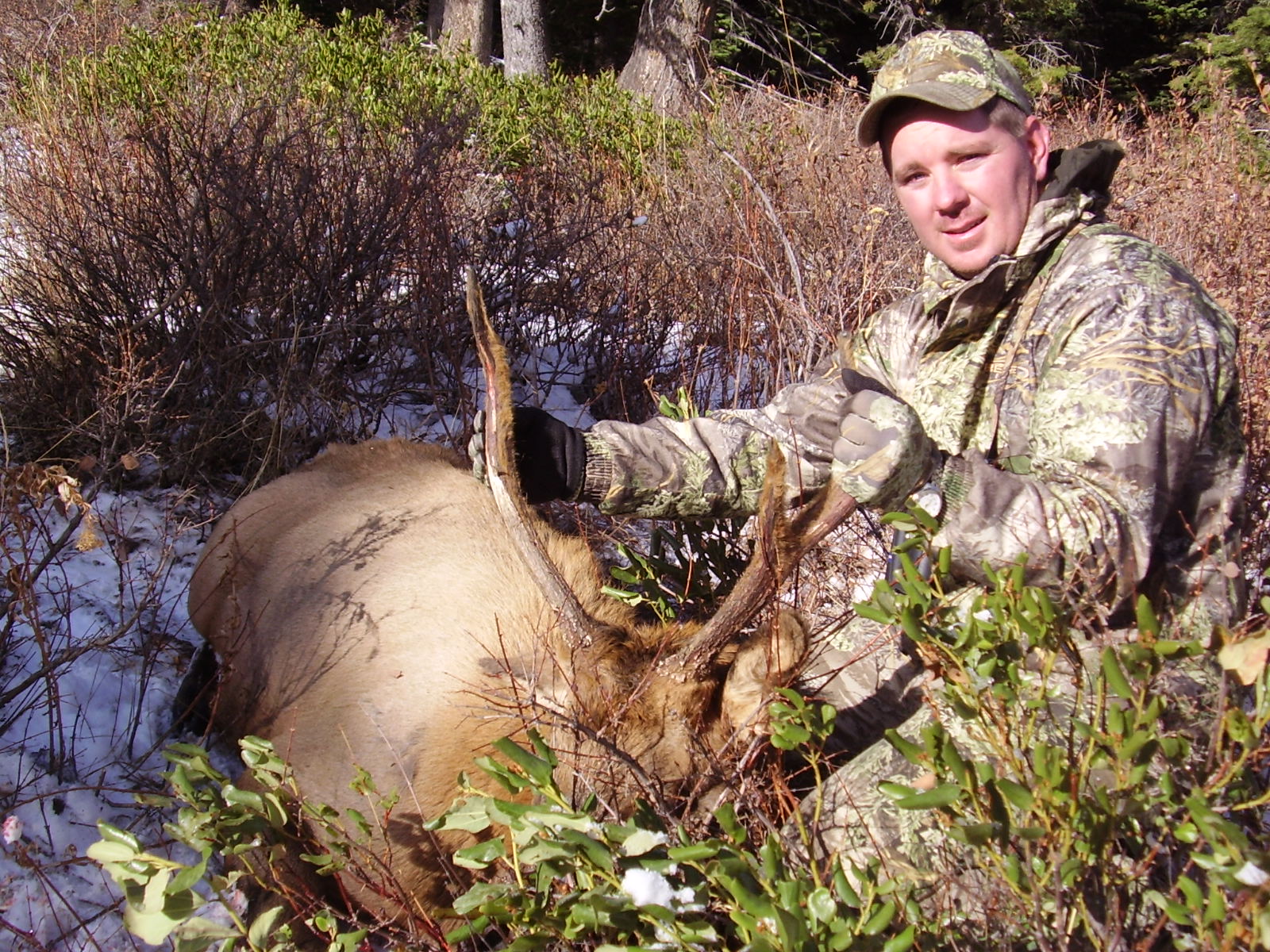 Wade Cornia OUTDOORSMAN Prostaff 2009 Utah Spike Bull Elk Hunt
