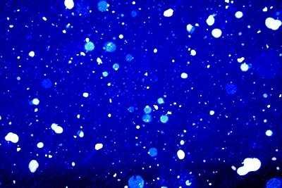 [snow.jpg]