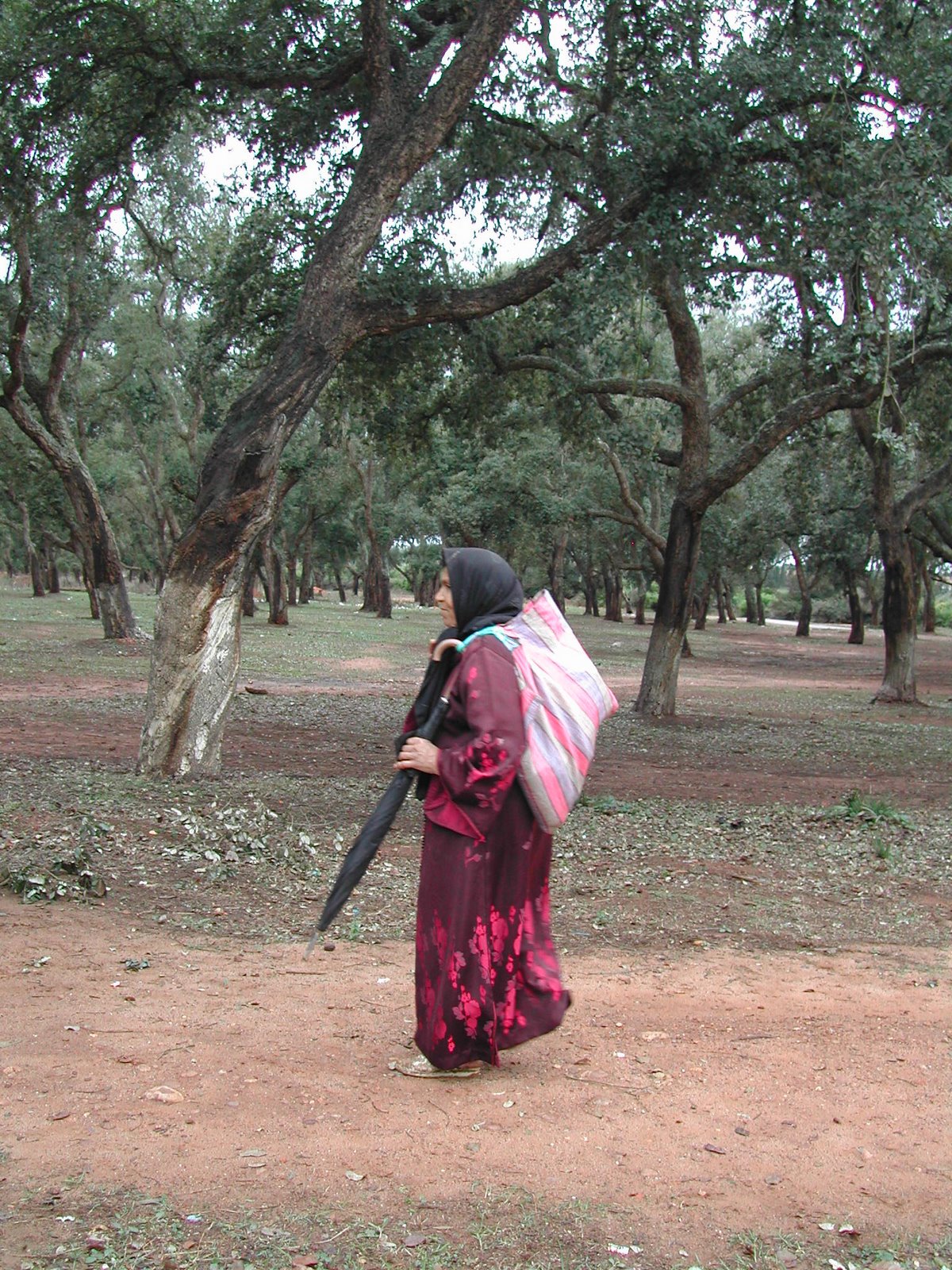 [DSCN4227.JPG]