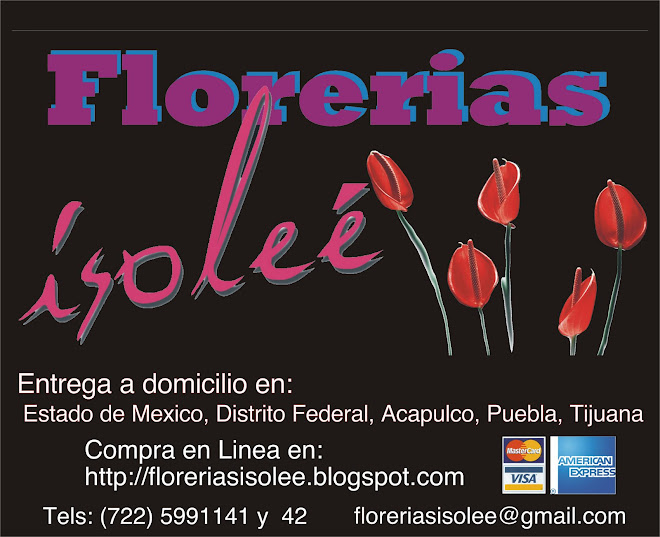 Isolee Flowers Store / Florerias Isolee  México