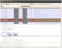 Wireshark