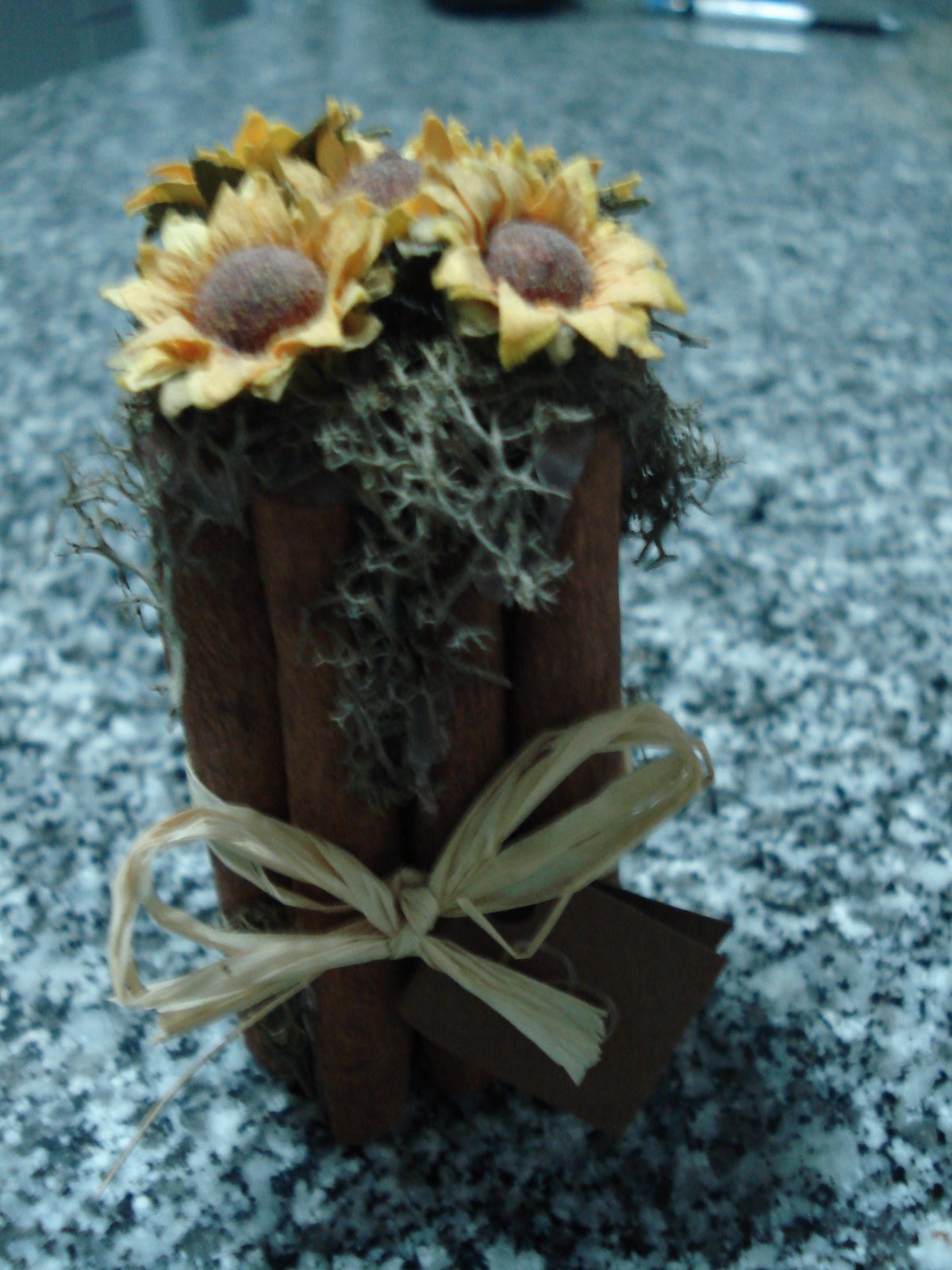 [DSC02474.JPG]