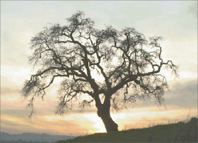 family tree cross stitch | Pass on Your Family History