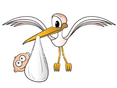 Stork+with+baby.jpg