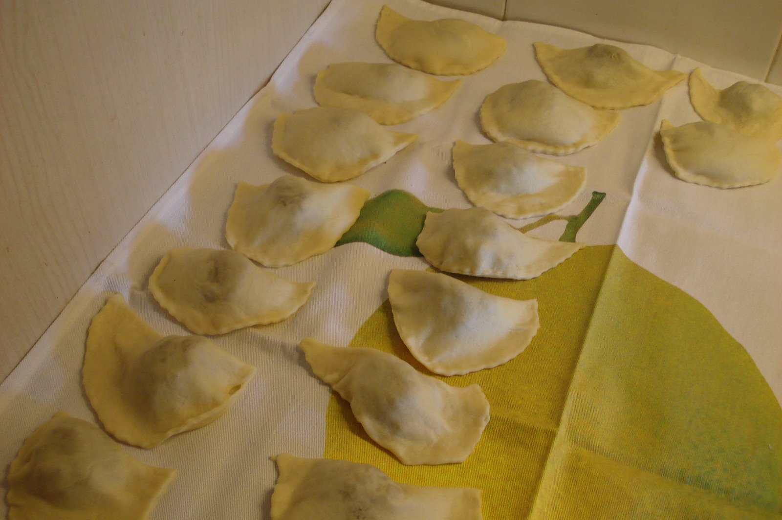 [DSC00528.JPG]