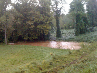 Lord willing and… never mind Swollen creek