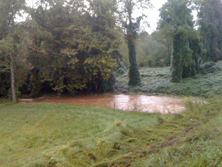 Swollen creek