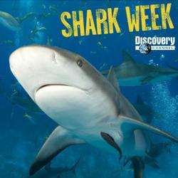 [shark-week-photo.jpg]