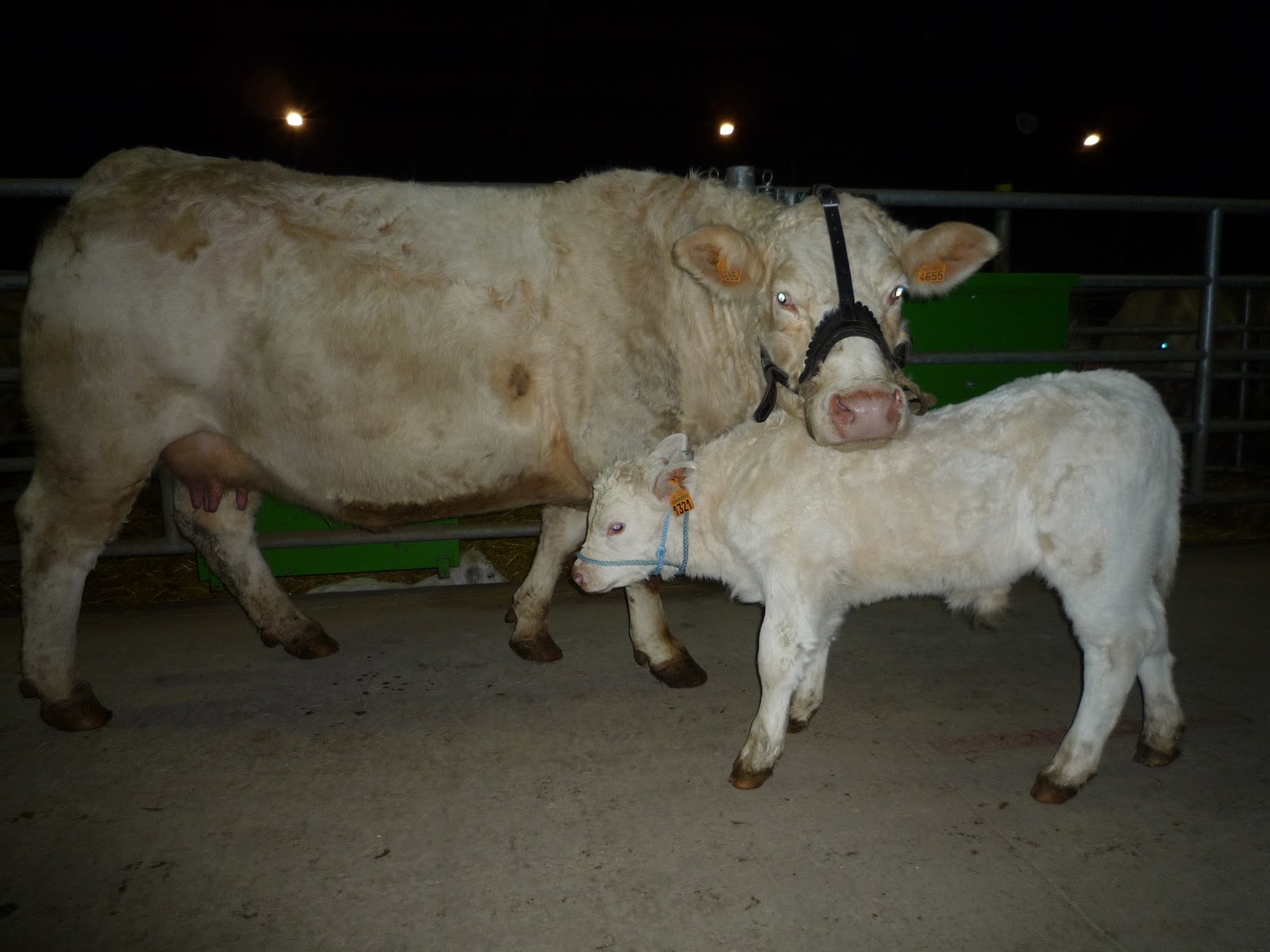 site de rencontre cocain