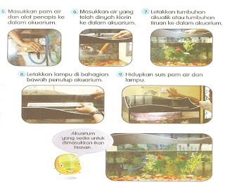 MENYEDIAKAN DAN MENGHIAS AKUARIUM IKAN HIASAN