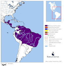 Distribución