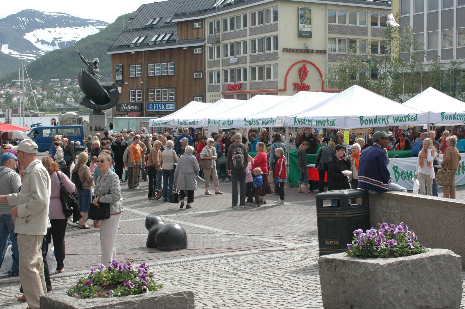 [DSC_0058.JPG]
