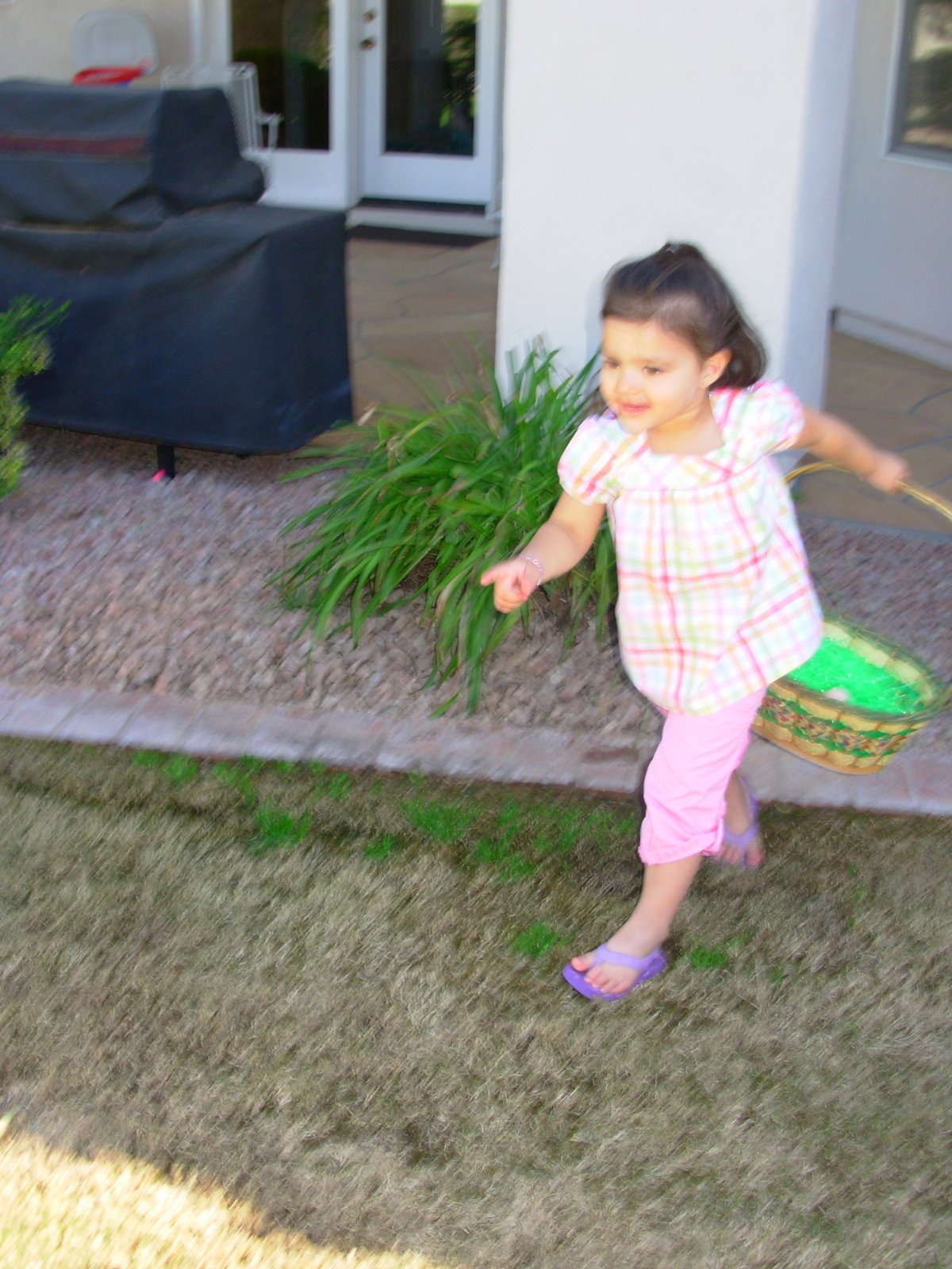 [DSCN3916.JPG]