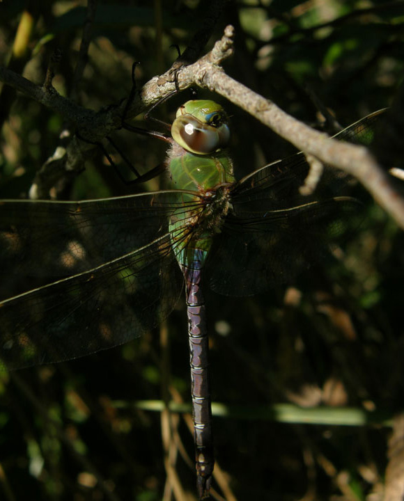 [P9291930-web.jpg]