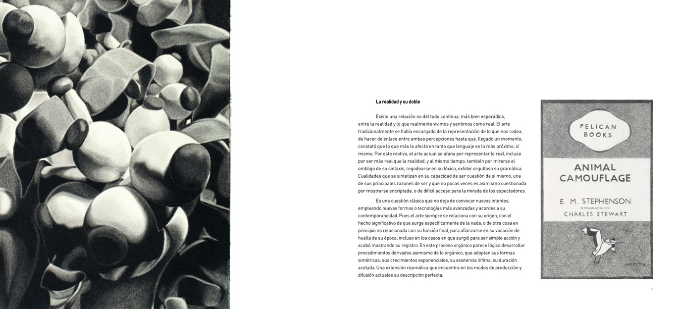 [ernesto-final-1.jpg]